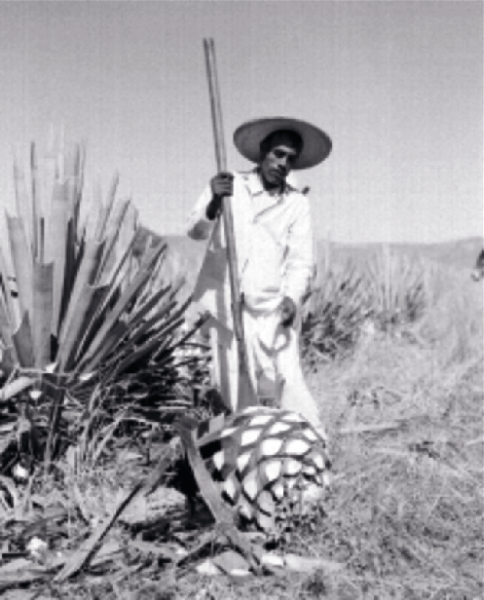 Don Cornelio Raygoza
